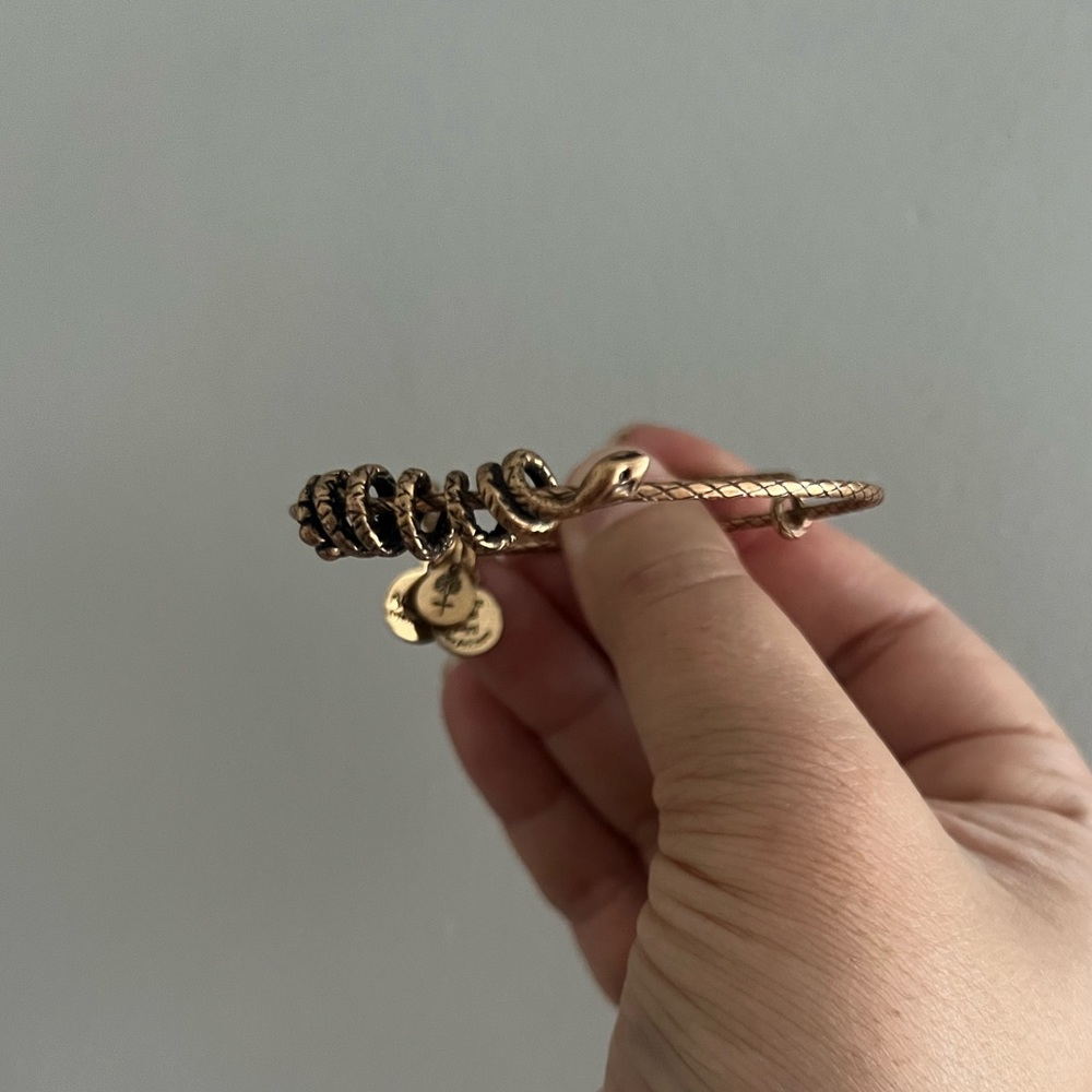 Alex and Ani snake wrap bracelet